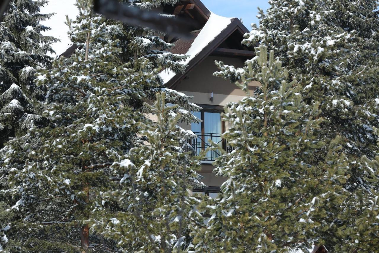 Mipet Apartmani Zlatibor Kültér fotó